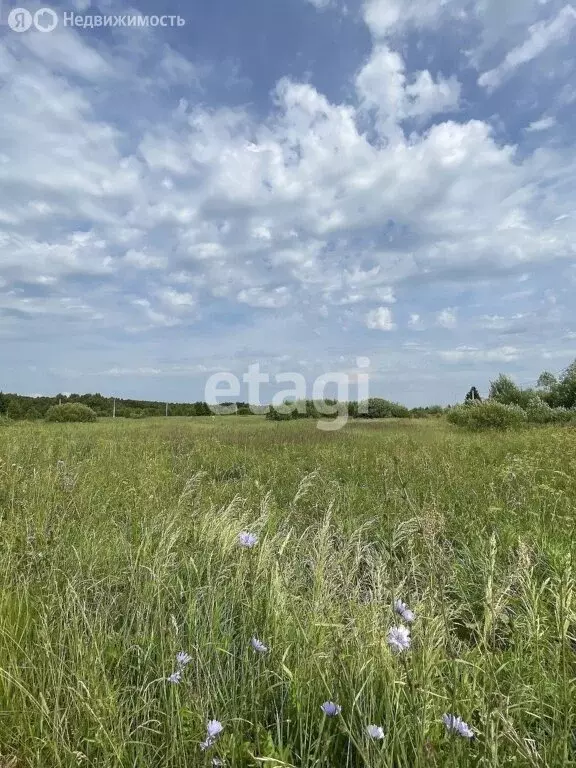 Участок в Погореловка, деревня Погореловка (30.7 м) - Фото 2