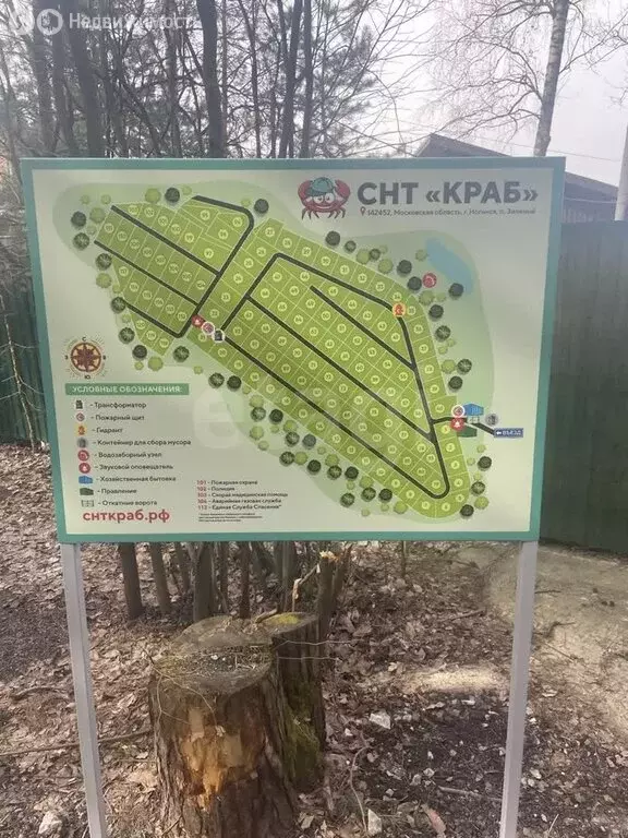 Участок в Московская область, Богородский городской округ, СНТ Краб (6 ... - Фото 1