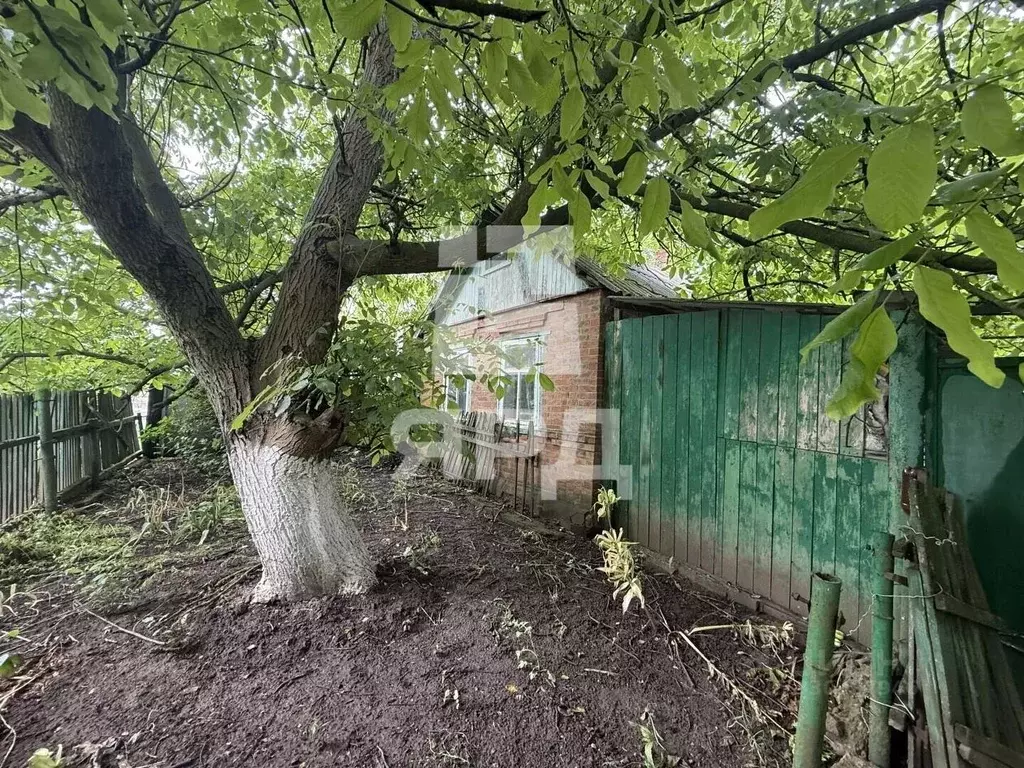 Дом в Ростовская область, Неклиновский район, Большенеклиновское ... - Фото 2