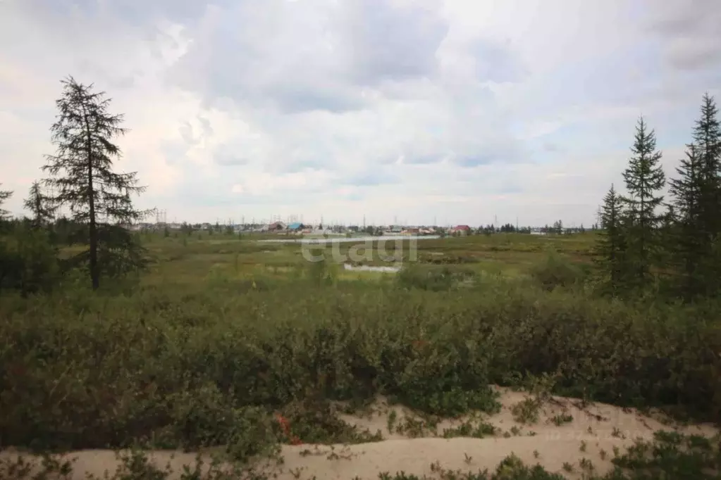 Участок в Ямало-Ненецкий АО, Новый Уренгой Оптимист ДПК, 6 (6.0 сот.) - Фото 1