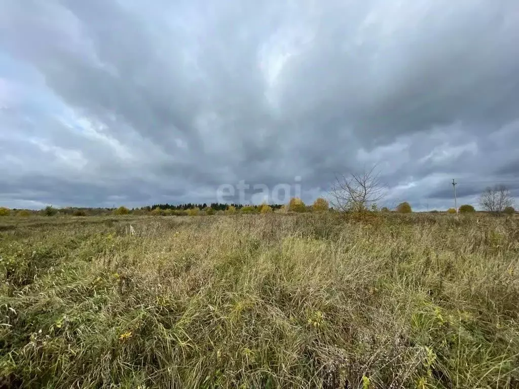 Участок в Вологодская область, Шекснинский район, Ершовское с/пос, д. ... - Фото 1
