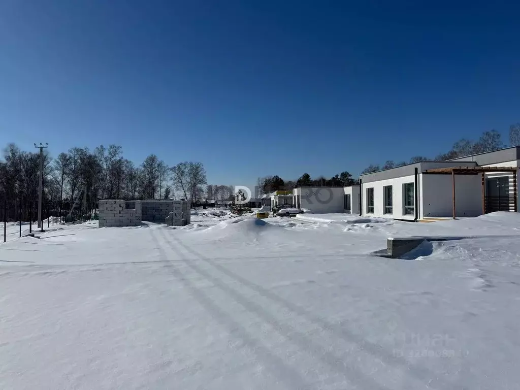 Участок в Алтайский край, Первомайский район, с. Фирсово ул. Кедровая, ... - Фото 1