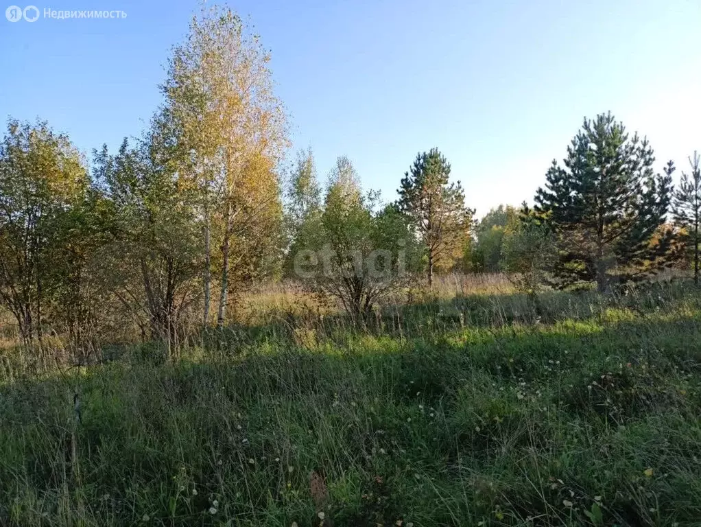Участок в Кемеровский муниципальный округ, село Верхотомское (7 м) - Фото 1