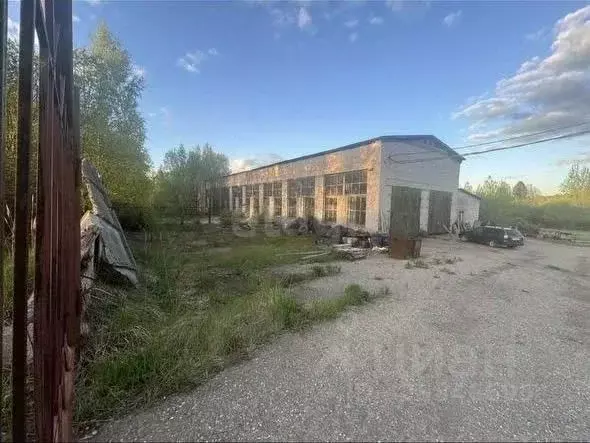 Помещение свободного назначения в Ярославская область, с. Большое ул. ... - Фото 1