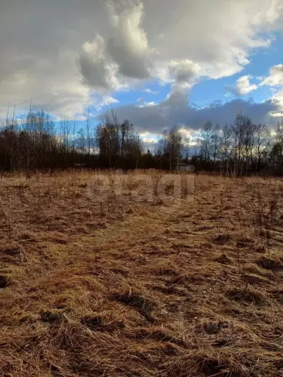 Участок в Московская область, Богородский городской округ, д. ... - Фото 2