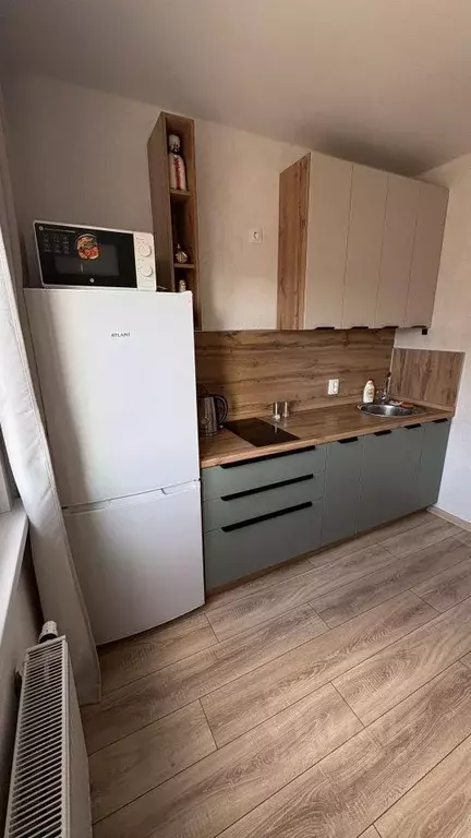 1-к кв. Воронежская область, Воронеж ул. Пескова, 3 (33.5 м) - Фото 1