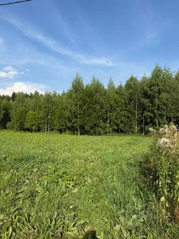 Участок в Кировская область, Слободской район, Шиховское с/пос, д. ... - Фото 1