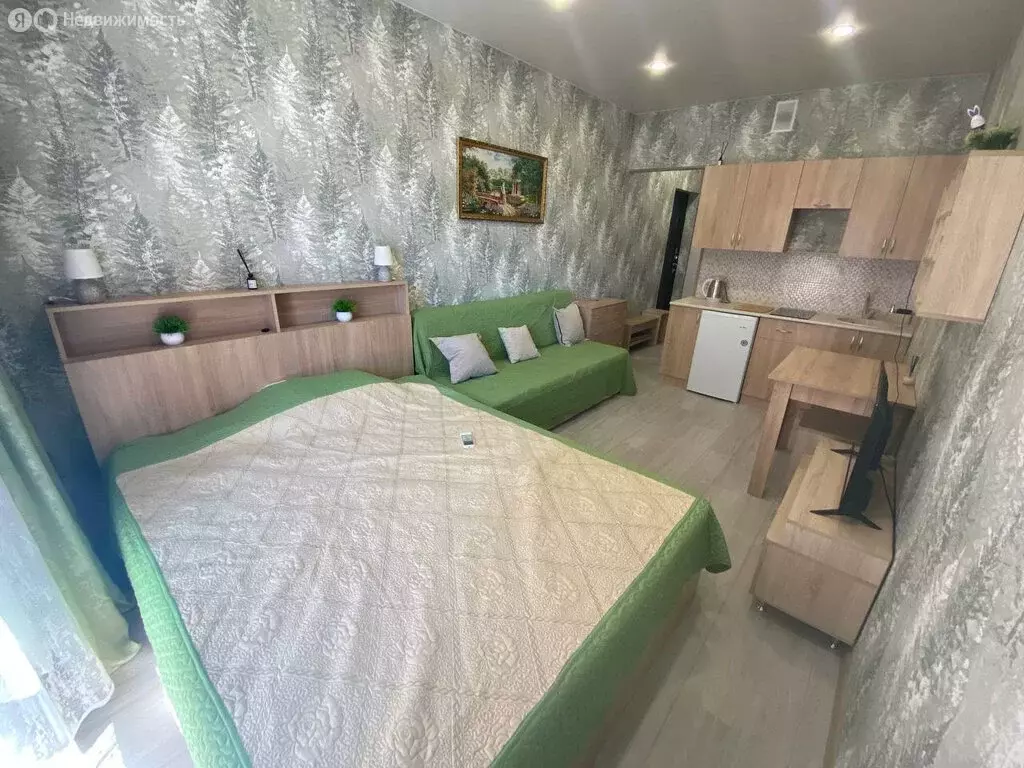 Квартира-студия: Горячий Ключ, Рябиновая улица, 2 (23 м) - Фото 1