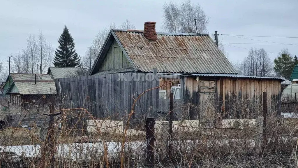 Дом в Новосибирская область, Новосибирск Швейник СТ,  (50 м) - Фото 0