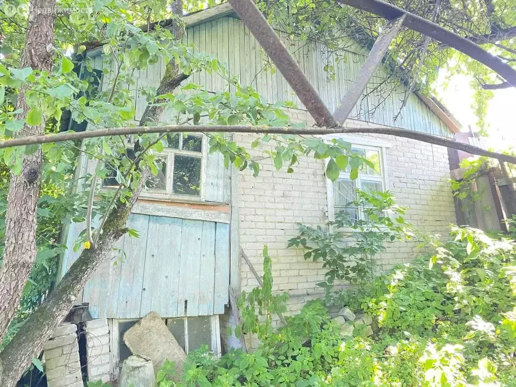 Участок в Брянск, садоводческое общество Десна-2 (7.31 м) - Фото 1