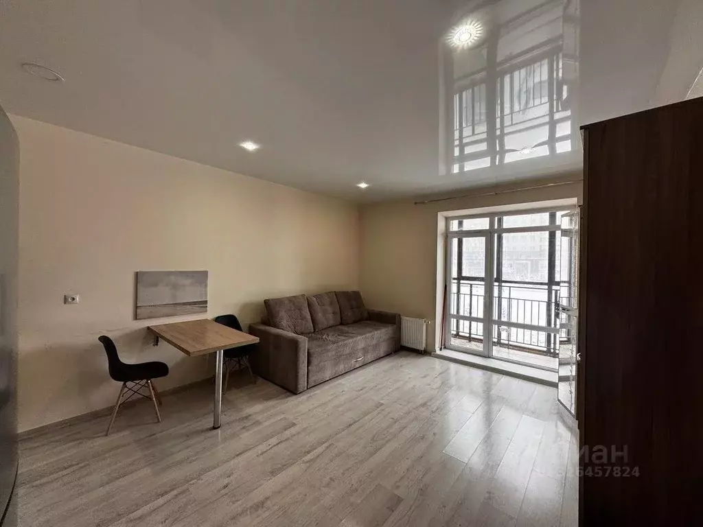 Студия Новосибирская область, Новосибирск Красный просп., 311 (28.2 м) - Фото 2