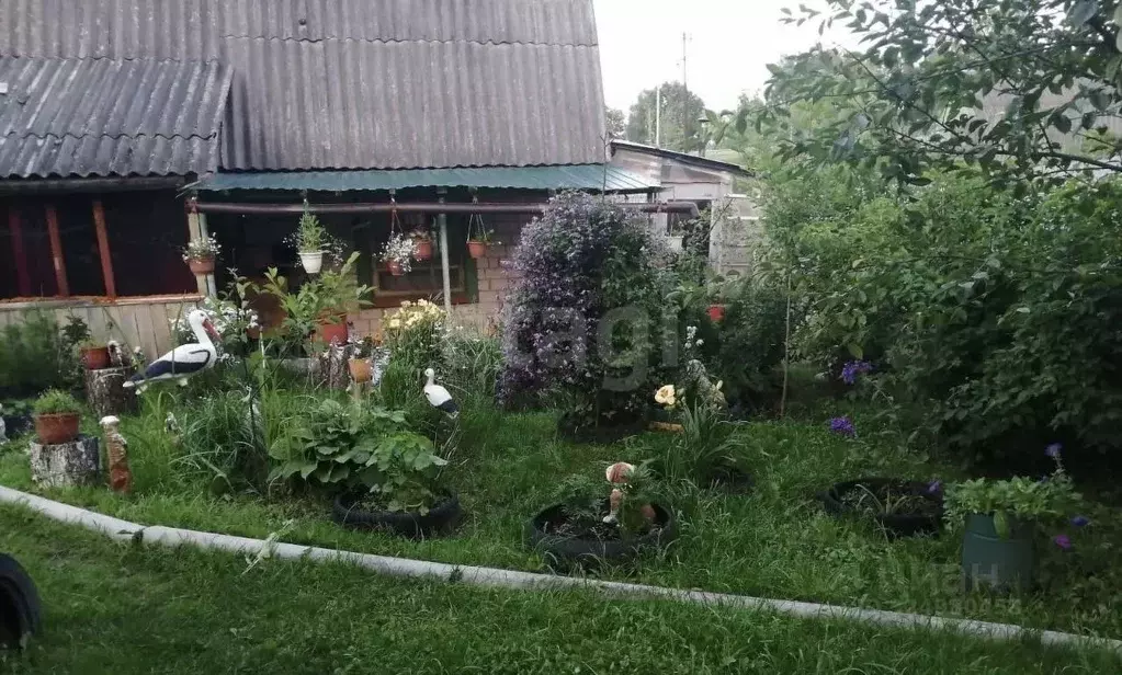 Дом в Брянская область, Фокино Мичуринец-3 садоводческое товарищество, ... - Фото 1