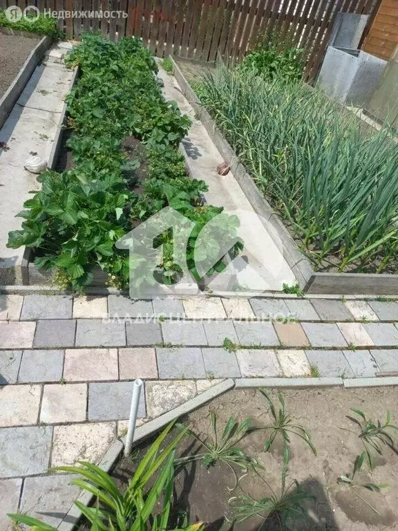 Дом в Кубовинский сельсовет, СНТ Красная Рябина (75 м) - Фото 1