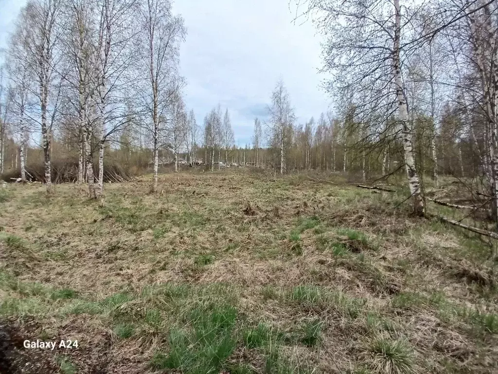 Участок в Ленинградская область, Всеволожский район, Колтушское ... - Фото 0