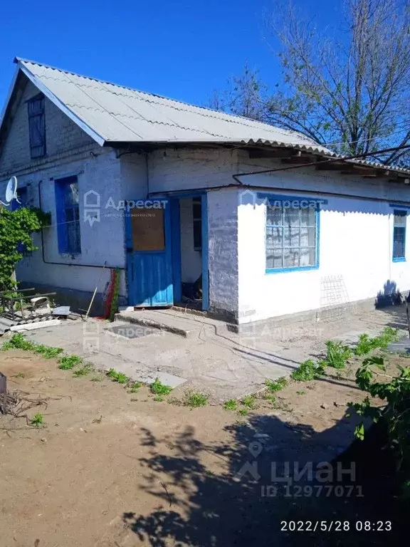 Дом в Волгоградская область, Суровикино ул. Ленина (60 м) - Фото 1