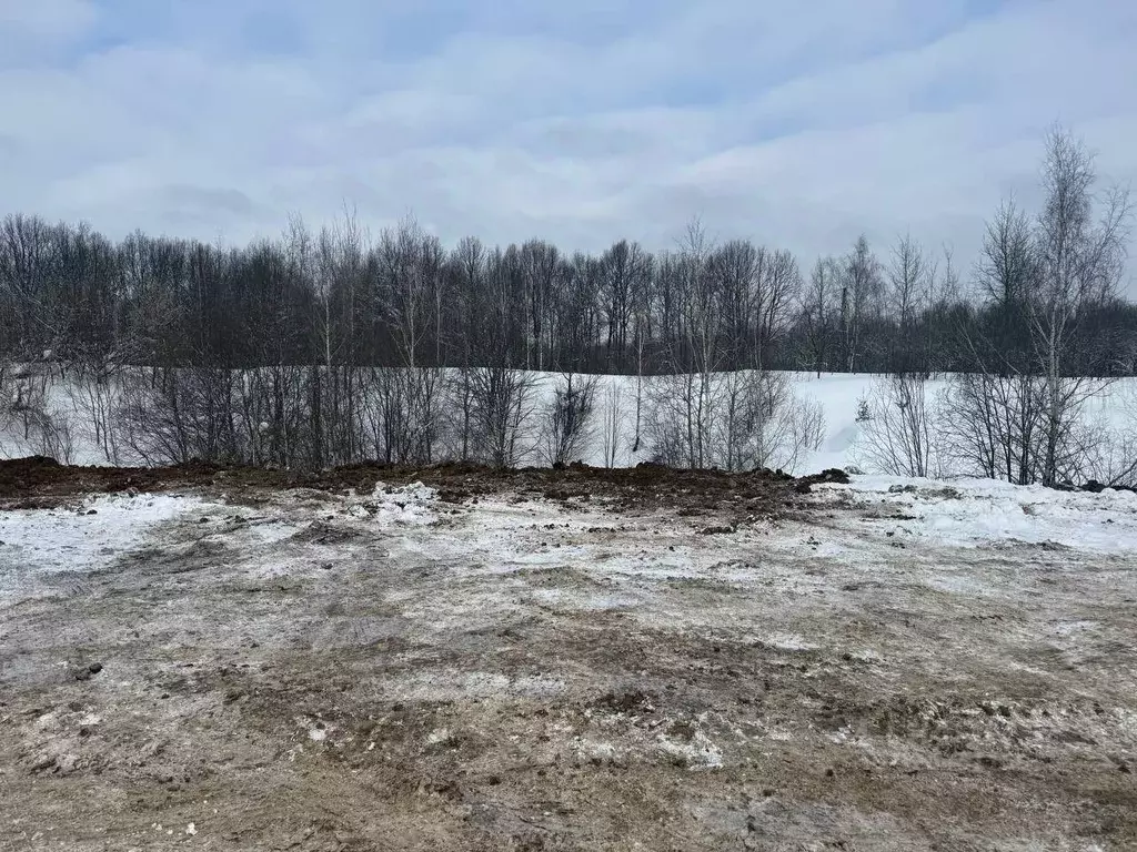 Участок в Московская область, Пушкинский городской округ, Софрино пгт  ... - Фото 1