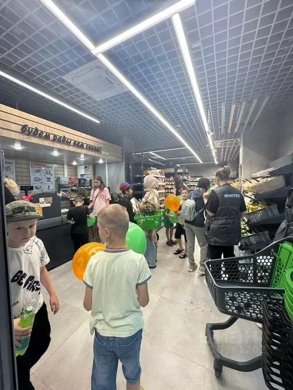 Помещение свободного назначения в Челябинская область, Челябинск ул. ... - Фото 1