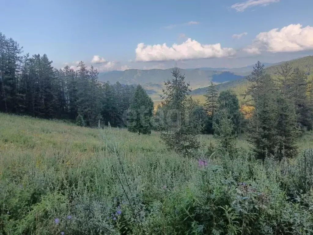 Участок в Алтай, Шебалинский район, с. Малая Черга Заречная ул. (10.0 ... - Фото 2