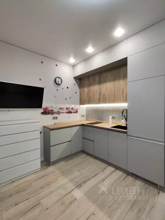 Студия Московская область, Химки ул. Генерала Дьяконова, 9 (30.0 м) - Фото 2