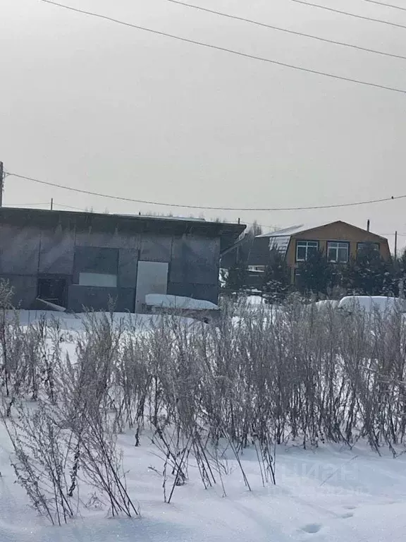 Участок в Пермский край, Пермский муниципальный округ, д. Заболото ул. ... - Фото 2