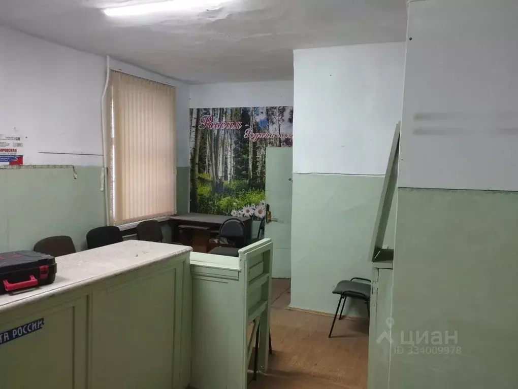 Помещение свободного назначения в Краснодарский край, Новороссийск ... - Фото 1