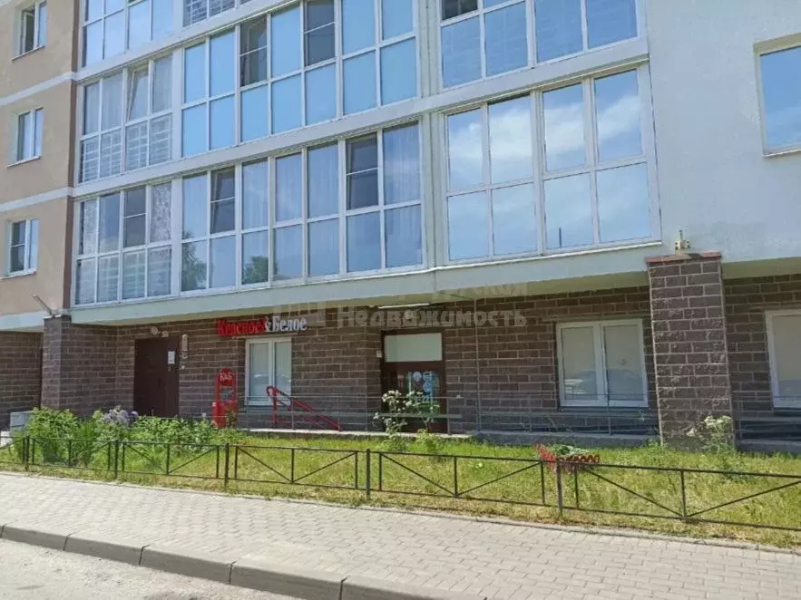 Торговая площадь в Санкт-Петербург, Санкт-Петербург, Сестрорецк ул. ... - Фото 1