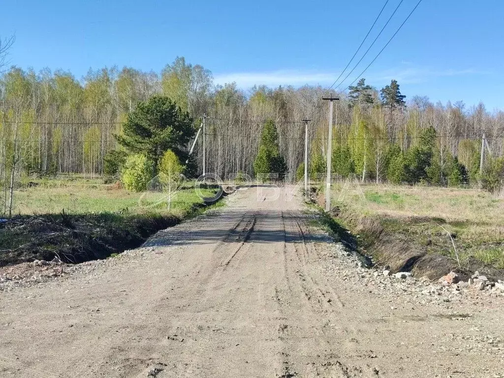 Участок в Тюменская область, Нижнетавдинский район, с. Тюнево  (7.0 ... - Фото 1