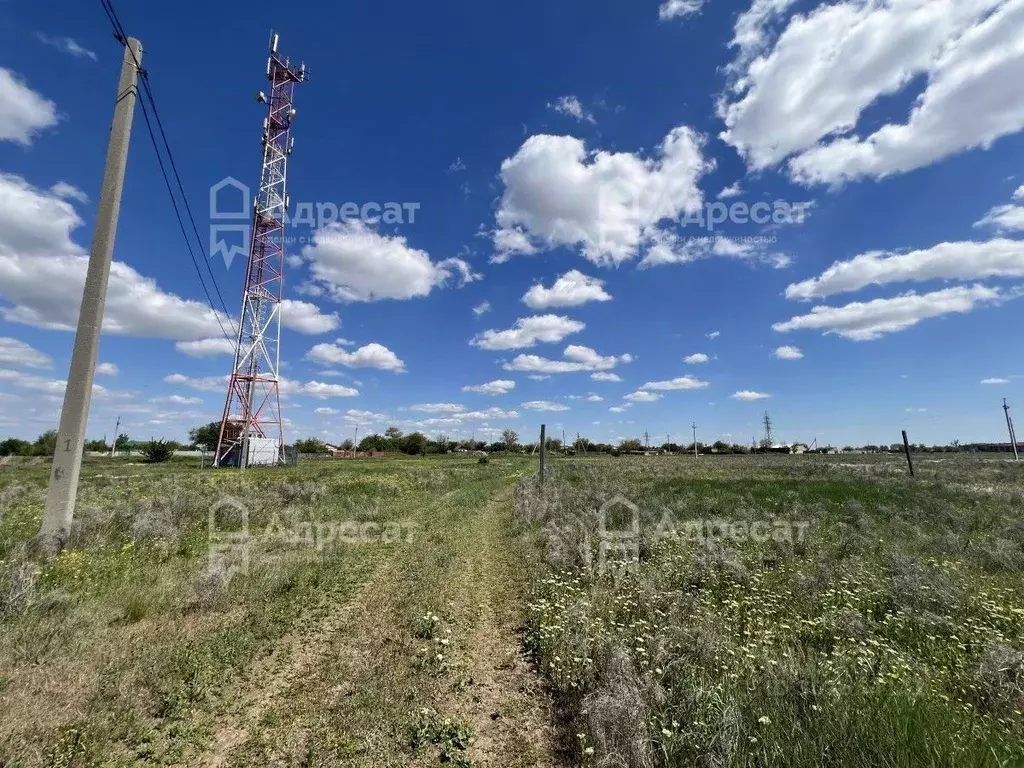 Участок в Волгоградская область, Светлоярский район, Дубовоовражное ... - Фото 0