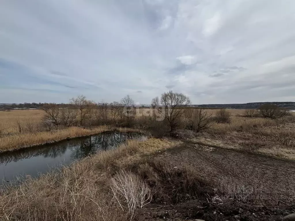Участок в Воронежская область, Воронеж ул. Приозерная, 142 (20.0 сот.) - Фото 0