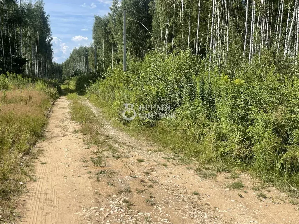 Участок в Владимирская область, Владимир ул. 2-я Сорокинская, 23 ... - Фото 2
