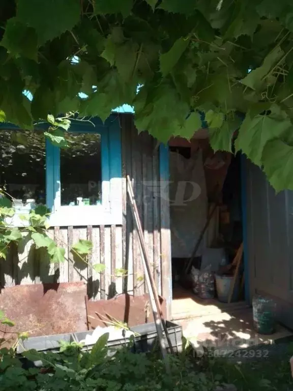 Дом в Калининградская область, Калининград Рассвет СНТ, ул. 3-я ... - Фото 0