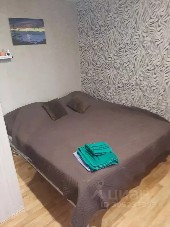 1-к кв. Нижегородская область, Городец ул. Мелиораторов, 3 (31.0 м) - Фото 1