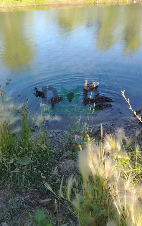 Участок в Оренбургская область, Орск ул. Радужная, 17 (10.0 сот.) - Фото 1