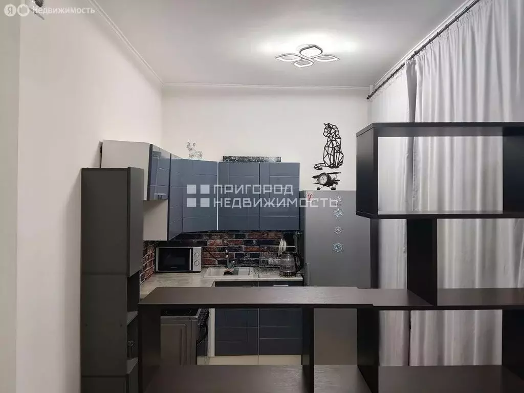 Квартира-студия: Мисайлово, микрорайон Пригород Лесное, Пригородное ... - Фото 2