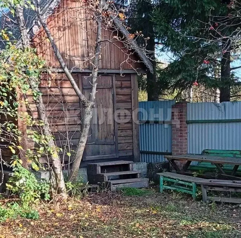 Дом в Новосибирская область, Колыванский район, Ветеран СНТ  (50 м) - Фото 0