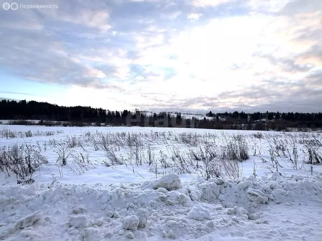 Участок в Вологодская область, Великоустюгский муниципальный округ, ... - Фото 1