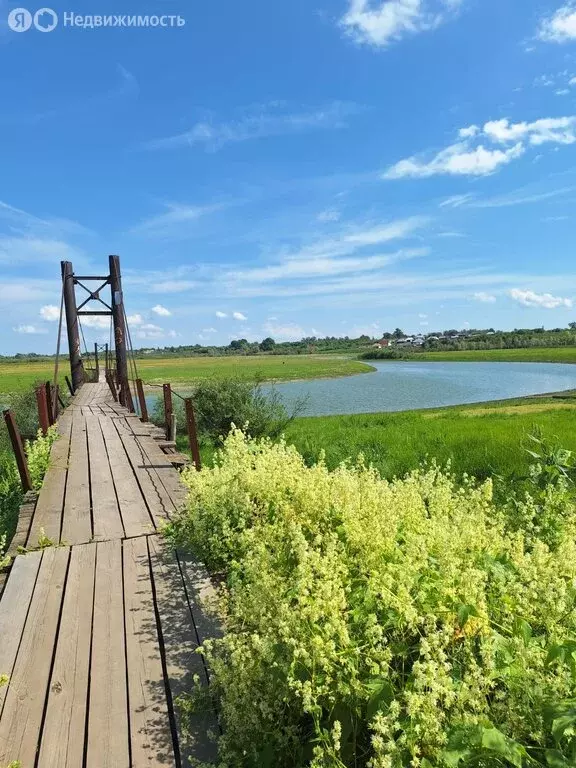 дом в калманский район, село калманка (27.9 м) - Фото 1