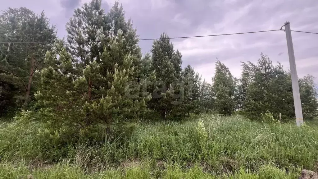 Участок в Тюменская область, Тюменский муниципальный округ, с. ... - Фото 1