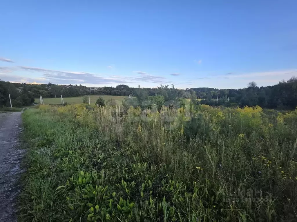 Участок в Калужская область, Калуга городской округ, д. Карачево ул. ... - Фото 1