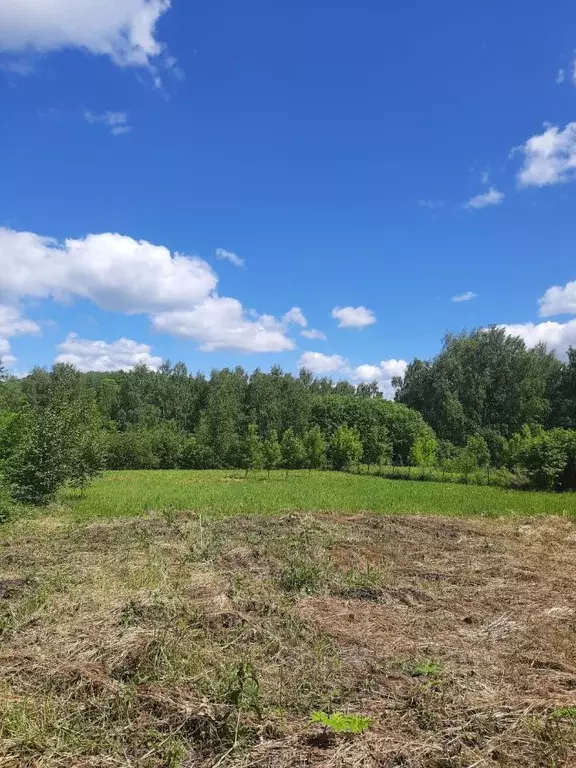 Участок в Нижегородская область, Кстовский муниципальный округ, с. ... - Фото 0