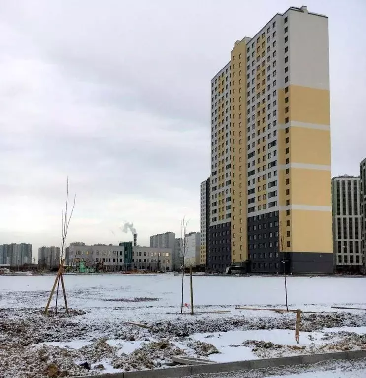 Студия Санкт-Петербург ул. Пахомовская, 14к1 (20.9 м) - Фото 0