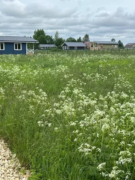 Участок в Ленинградская область, Гатчинский район, д. Заозерье  (15.0 ... - Фото 0