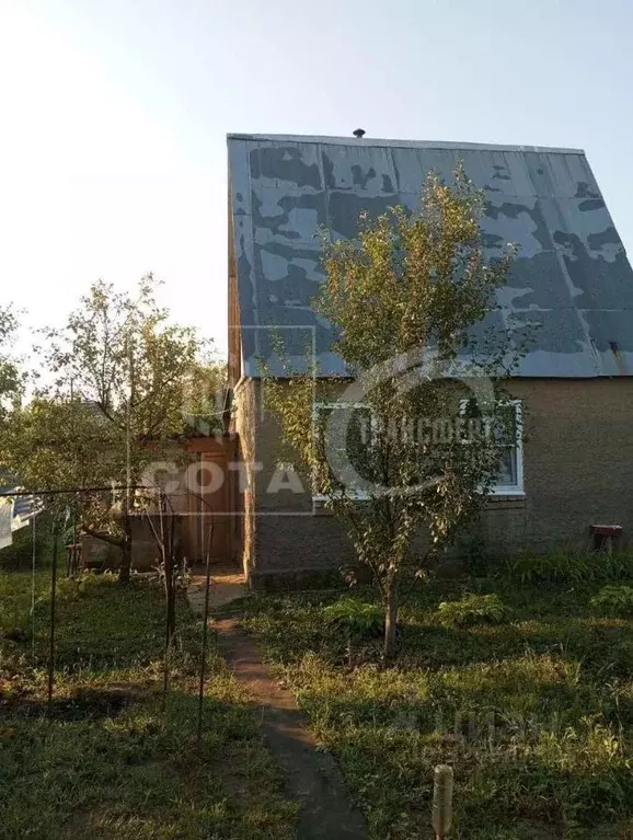 Дом в Воронежская область, Воронеж Березка СНТ, 360 (50 м) - Фото 2