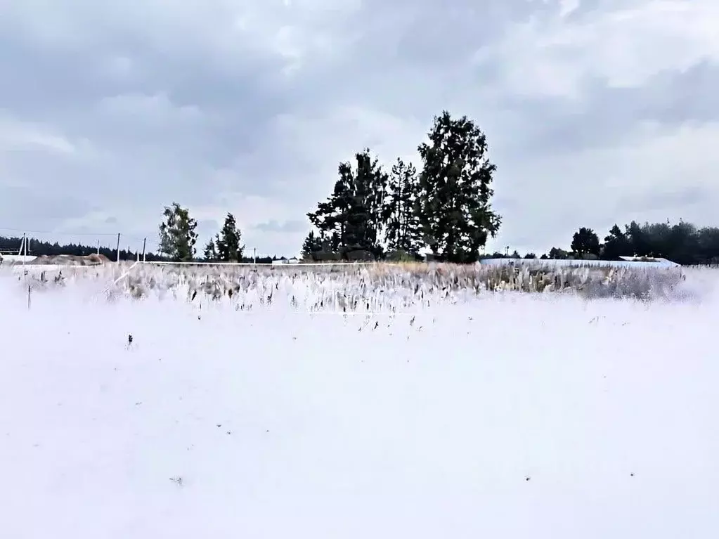 Участок в Владимирская область, Ковровский муниципальный округ, пос. ... - Фото 1