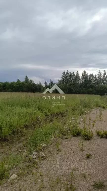Участок в Вологодская область, Вологда Доронинский СНТ,  (8.0 сот.) - Фото 1
