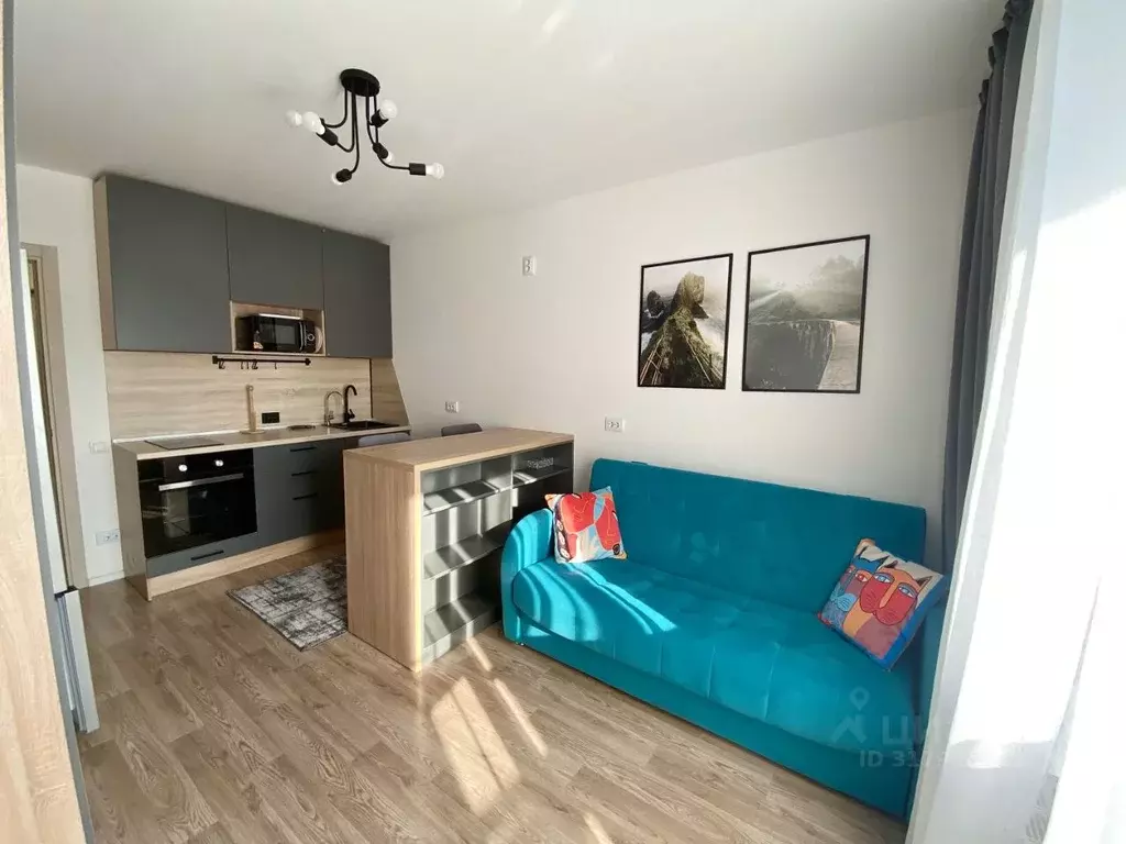 Студия Санкт-Петербург наб. Реки Каменки, 23 (22.0 м) - Фото 0