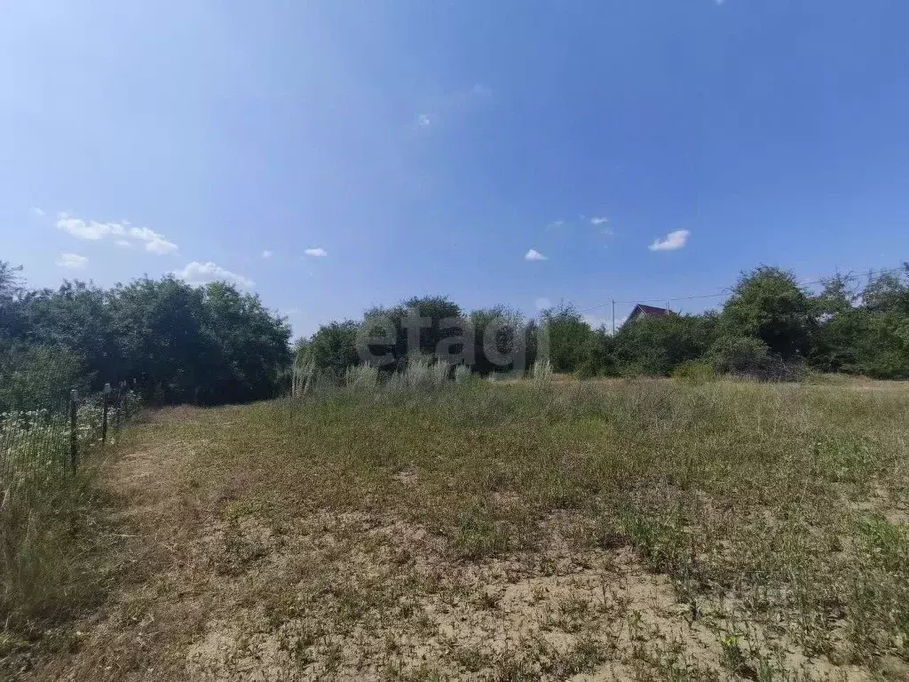 Участок в Белгородская область, Белгородский район, Тавровское с/пос, ... - Фото 1