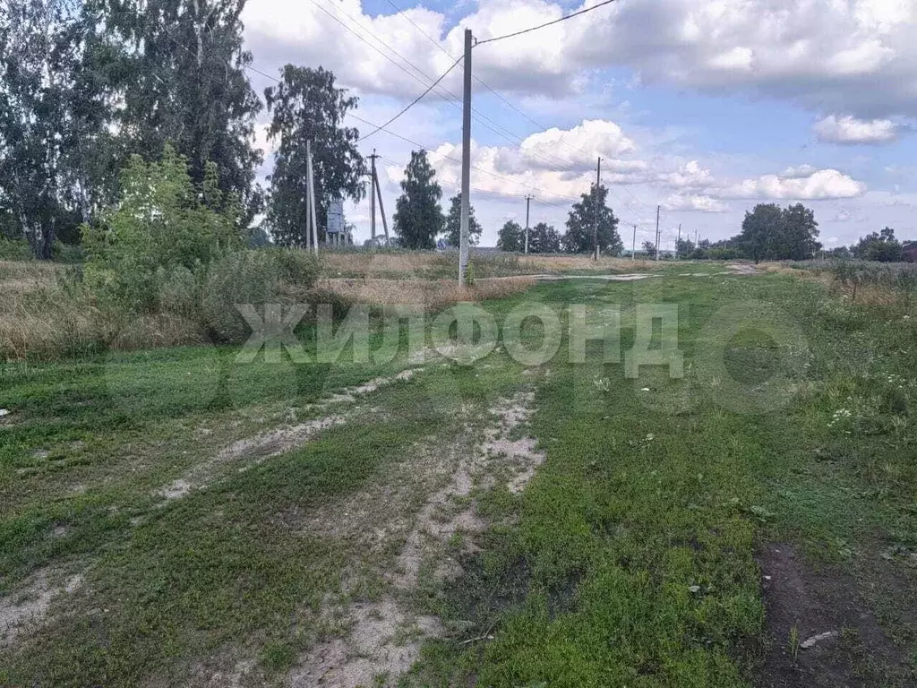 Участок 12 сот. (СНТ, ДНП) - Фото 0