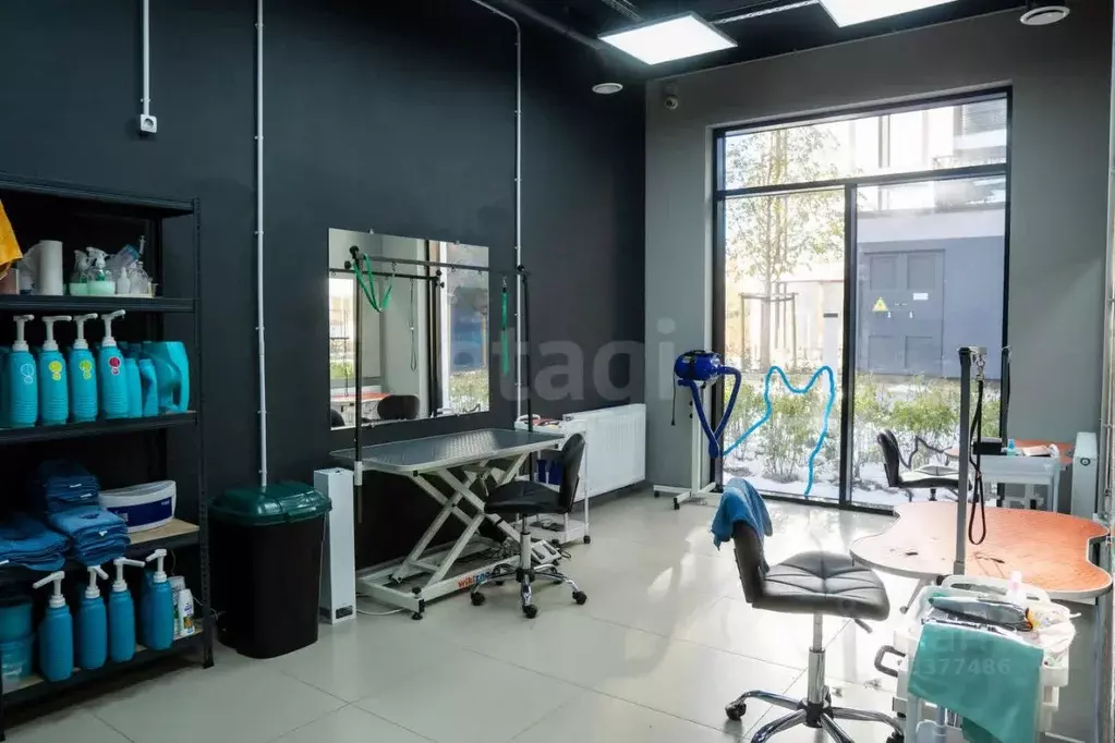 Торговая площадь в Новосибирская область, Новосибирск ул. Никитина, 10 ... - Фото 1