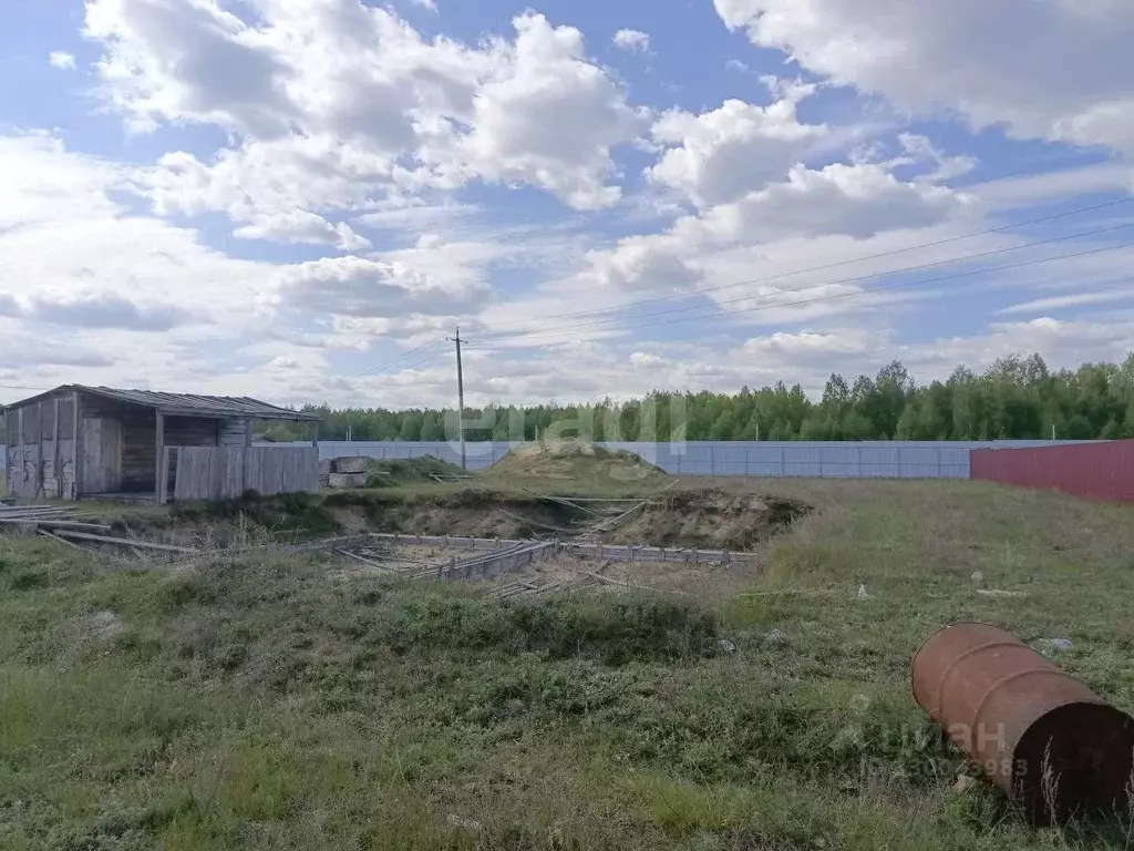 Участок в Нижегородская область, Выкса городской округ, с. Нижняя ... - Фото 1